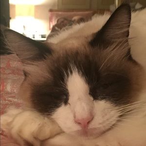 Meet your Posher, Deborah